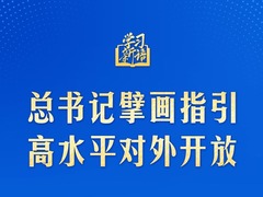 学习新语｜总书记擘画指引高水平对外开放