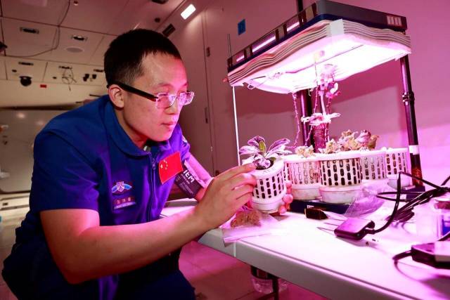 △航天员张洪章在进行植物培养训练