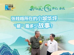 县计献策·对话书记县长丨张桂梅所在的小城华坪，“藏”着多少故事？