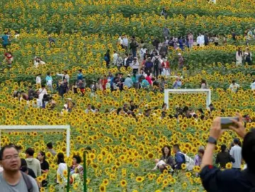 “假期首批抢跑游客，在返程路上了”