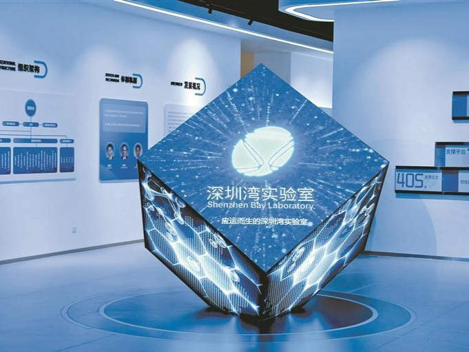 深圳青年团队基础科研“挑大梁”  “BT+IT”融合探索生命科学密码