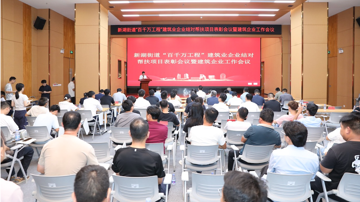 政企联动！新湖街道完成1147栋隐患自建房整治