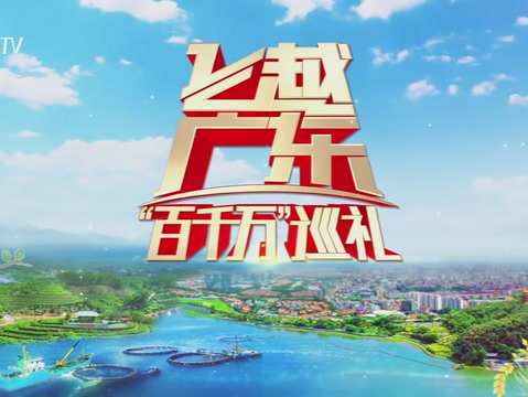 飞越广东·百千万巡礼——深圳人工智能图景：机器人走进生活、低空飞起无人机、医疗数据“开口说话” 
