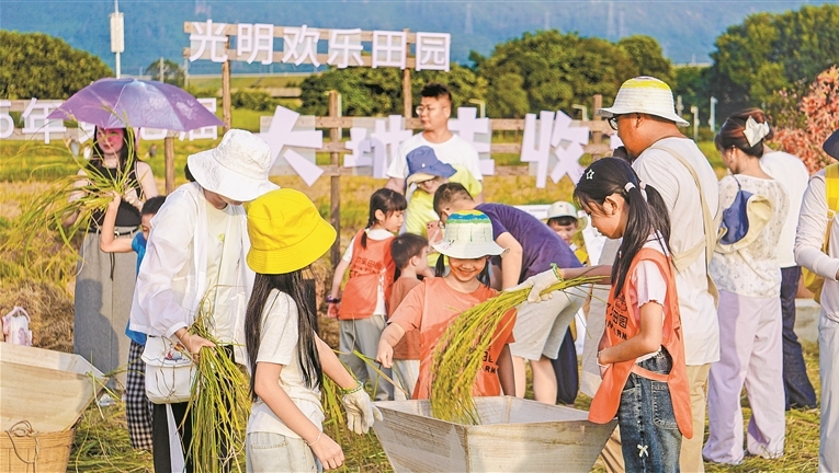 深圳两校率先落地“春秋假”，学生们做调研提方案，化身“小小议事员”自主设计“秋假”<br>