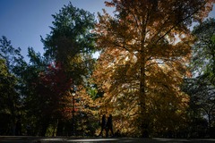 （外代一线）（4）欧洲的秋