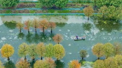 江苏泗洪：生态养殖绘秋景