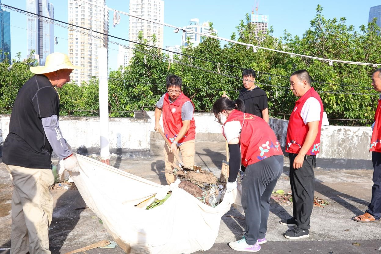 园岭街道集中整治织密防蚊网,全域联动守护健康家园