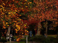 （外代一线）（9）欧洲的秋