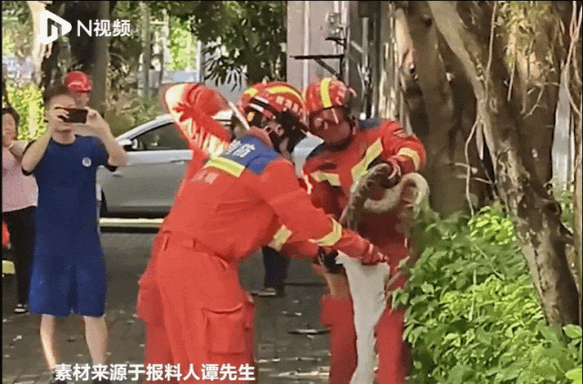 5.gif