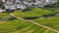 云南会泽：田园综合体绘就乡村振兴新画卷