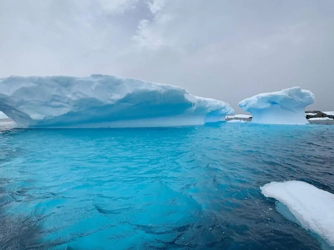 南极游价格暴跌！亲历者：“11天10晚仅花5万元，南极还没天津的冬天冷”，网友炸锅，最新回应 