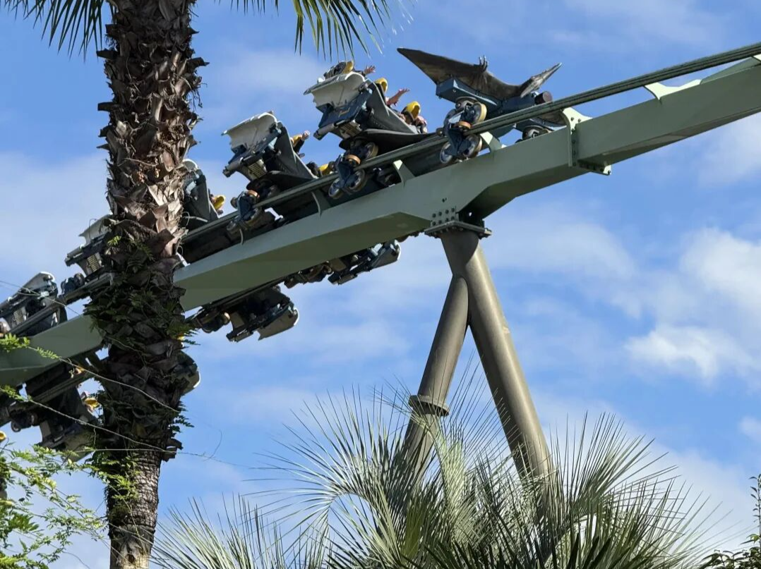 男子坐过山车“甩出”肾结石，医生释疑：小概率事件，莫效仿！ 