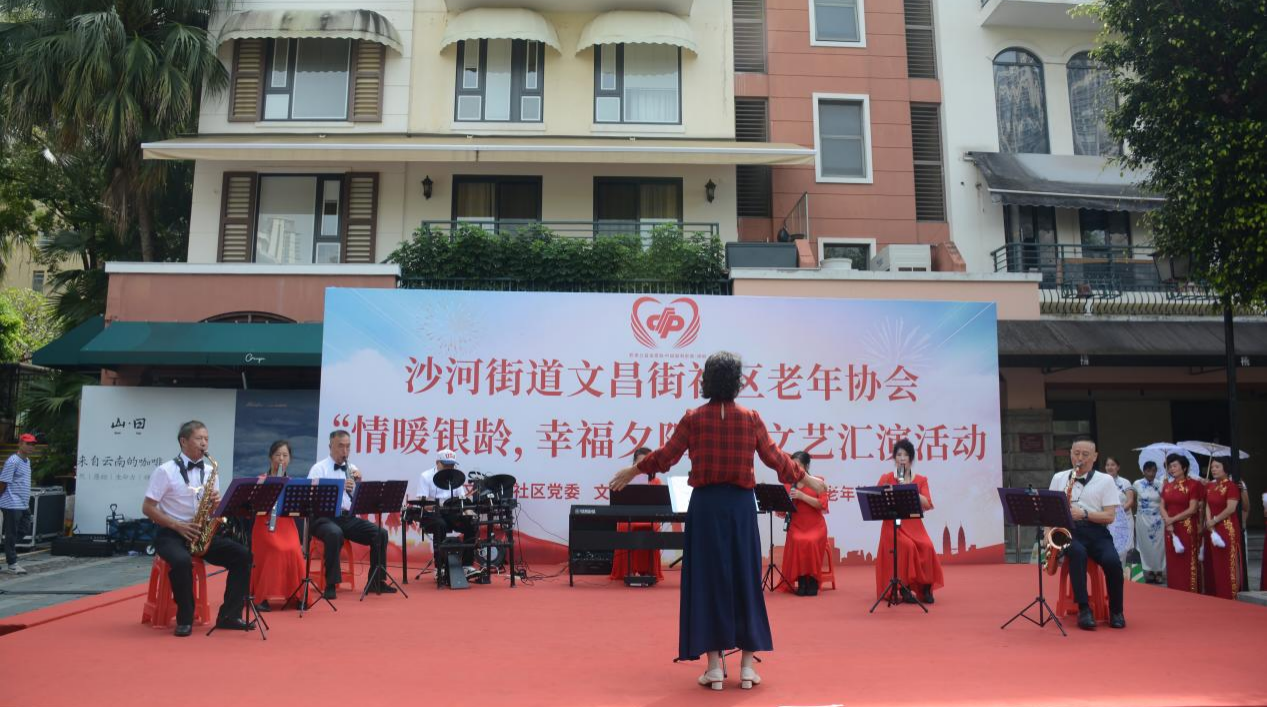 “情暖银龄 幸福夕阳红”文艺汇演温馨上演