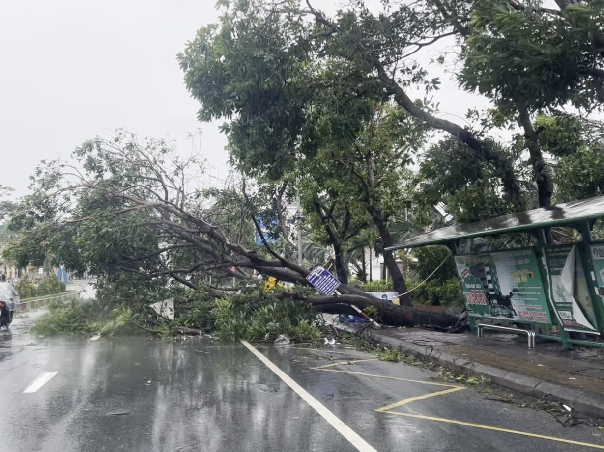台风“麦德姆”今夜起逐渐影响华南地区