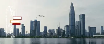 冯晨阳 | 深圳扩大开放背景下国有企业转型路径探索：基于德尔菲法和层次分析法的研究