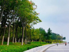 秀我中国｜属于山东威海的秋日浪漫季来啦