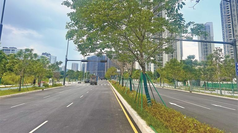 福城福花路(观兴西路-泗黎南路)正式通车