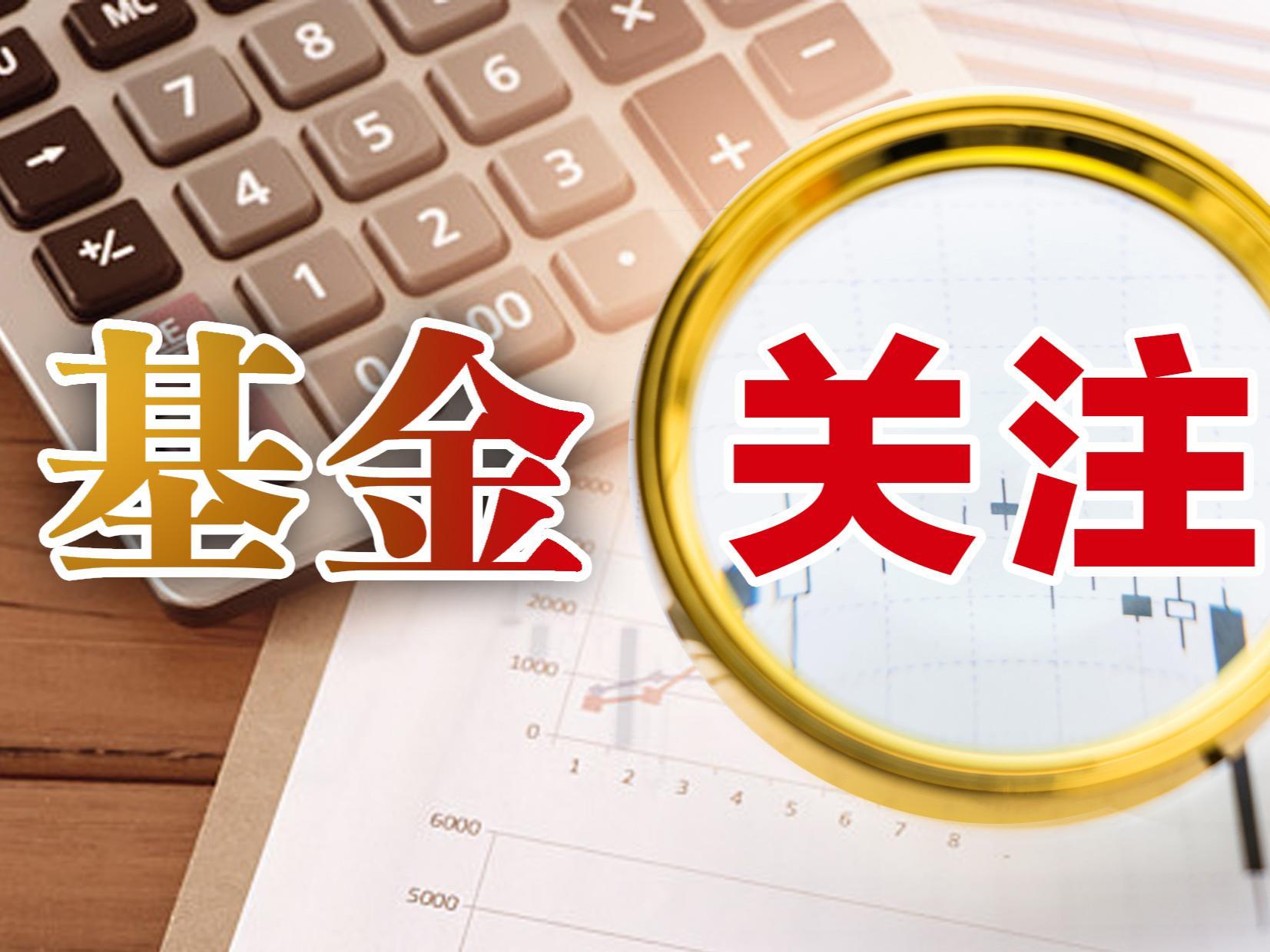 基金锁定科技叙事!QDII联手外资抢筹港股