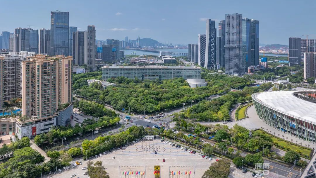 宝安区政协:以实干担当为宝安发展贡献政协智慧力量