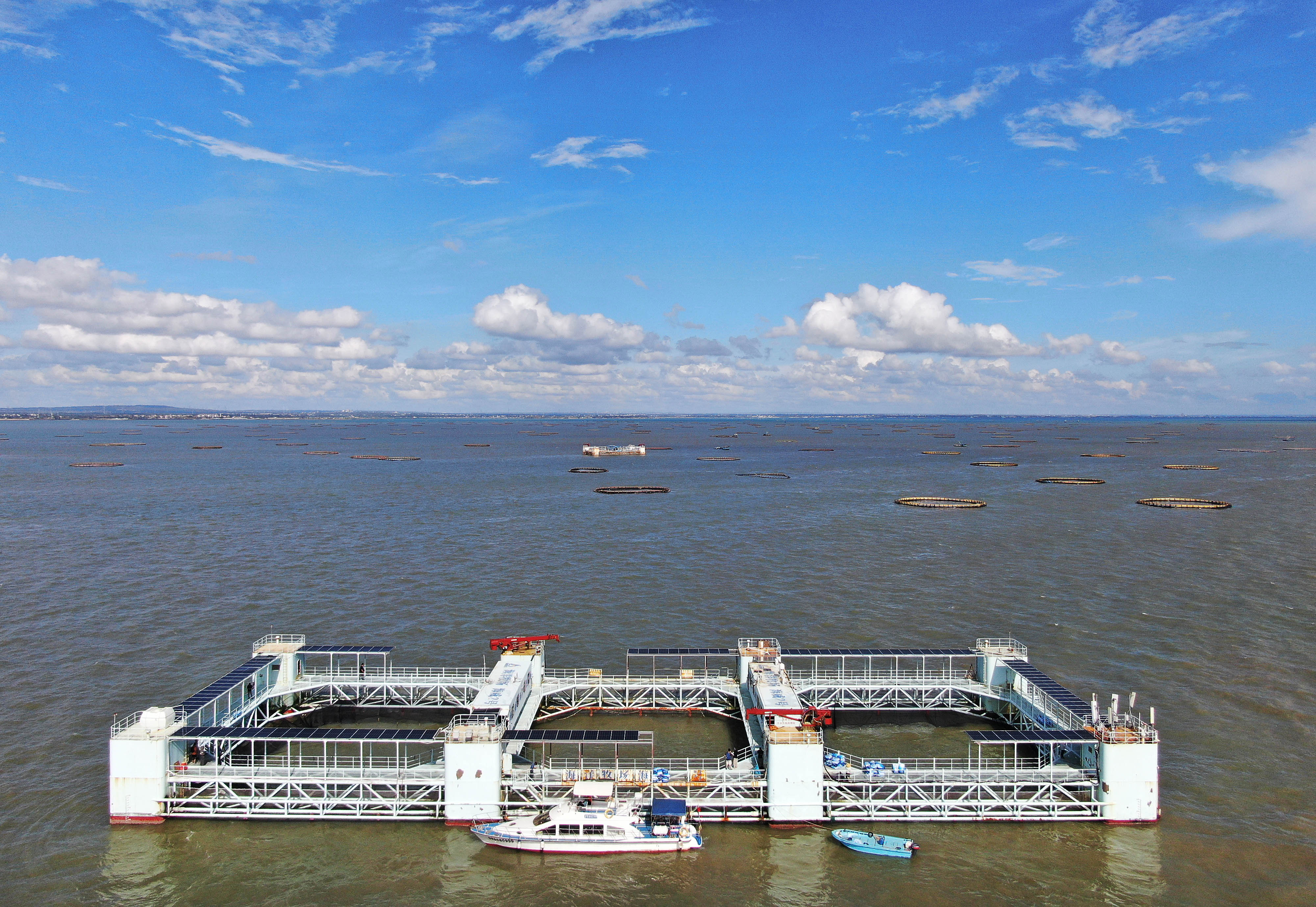 海上新广东·谋海 | 湛江以“蓝色引擎”激发海洋经济强劲动能 三个人就能养出百万斤鱼