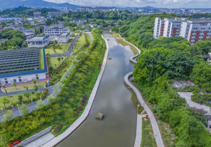 层层绿意让广东乡村越来越“貌美”又“富贵”