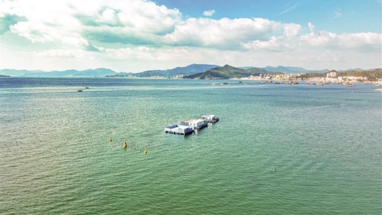 南澳海面化身“實景試驗場”