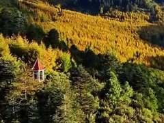 “天府之国”秋意浓 层林尽染山川秀