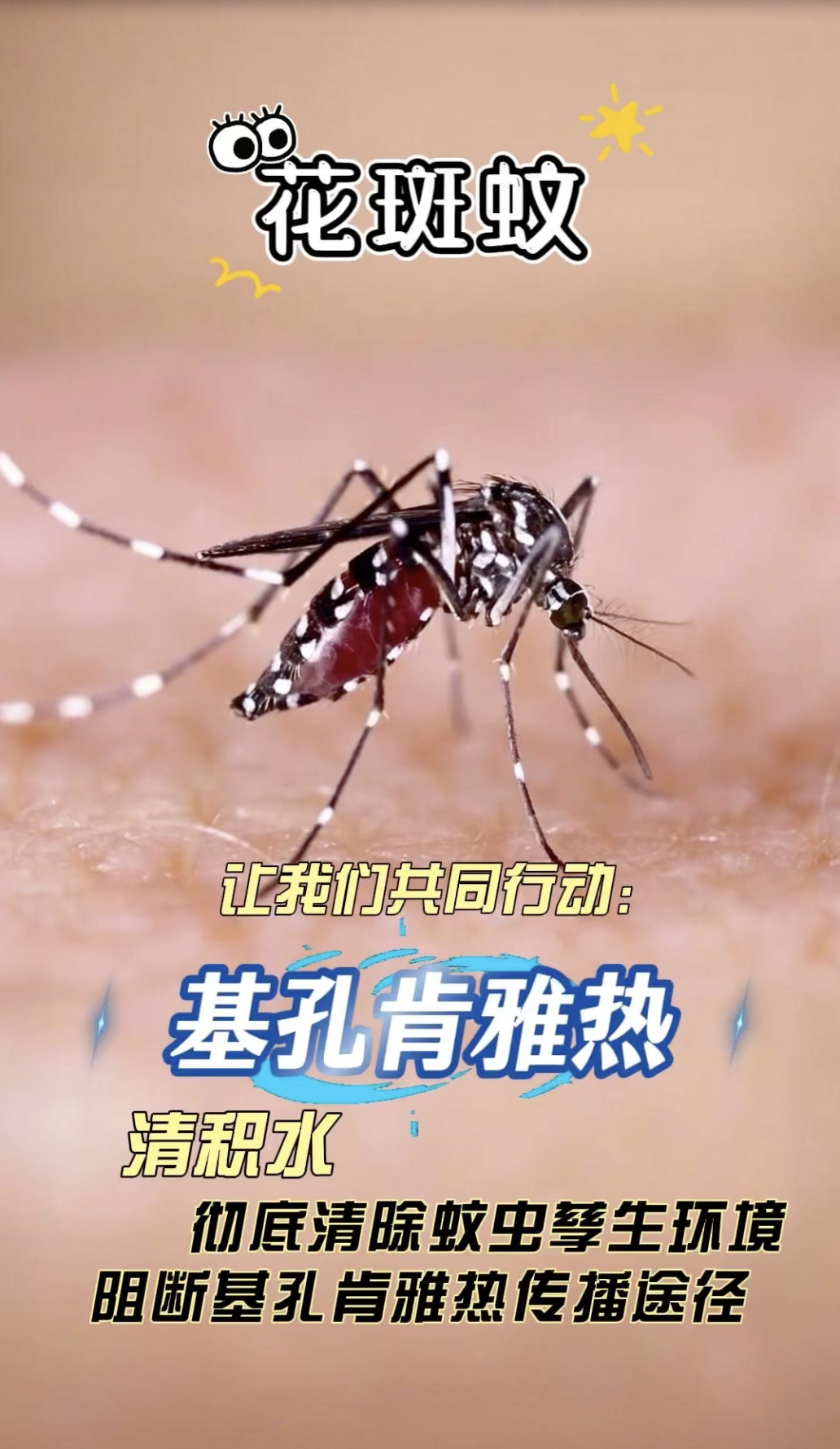 科普｜预防基孔肯雅热