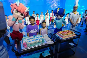 小梅沙海洋世界以巨幅水下国旗巡游献礼国庆