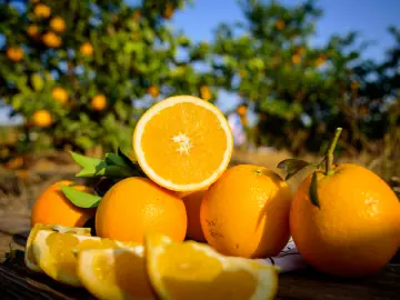 11月1日，赣南脐橙开摘！寻乌23万亩赣南脐橙等你来！