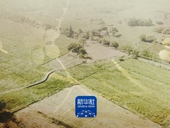 践行全球文明倡议 第三届“良渚论坛”来了！