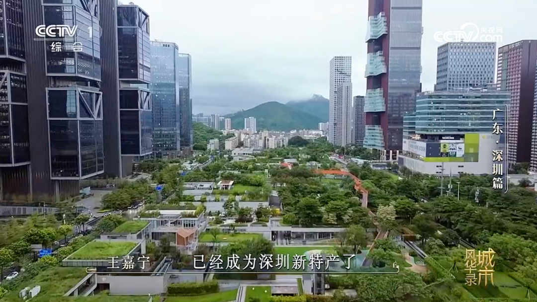 “一座有温度有灵魂的现代之城” 《城市风华录》深圳篇央视播出