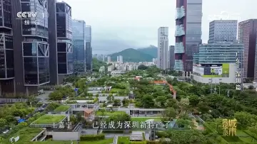“一座有温度有灵魂的现代之城” 《城市风华录》深圳篇央视播出