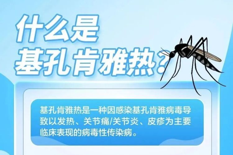 @中山人：八天长假防蚊不松懈，防范基孔肯雅热！