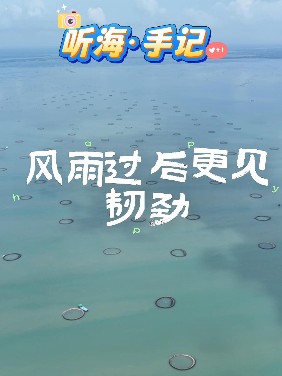 “海上新广东”融媒调研行-湛江站｜「听海·手记」风雨过后更见韧劲