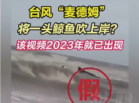 台风“麦德姆”将一头鲸鱼吹上岸？谣言！