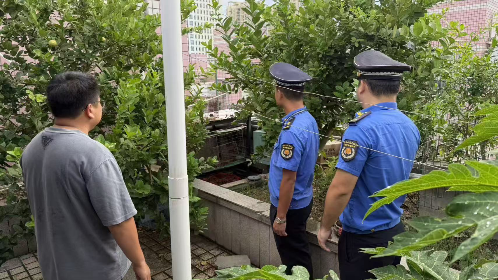 西乡城管开出“两热”防控罚单，两责任人因防疫不力被处罚