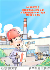 （图表·漫画）利润同比增长