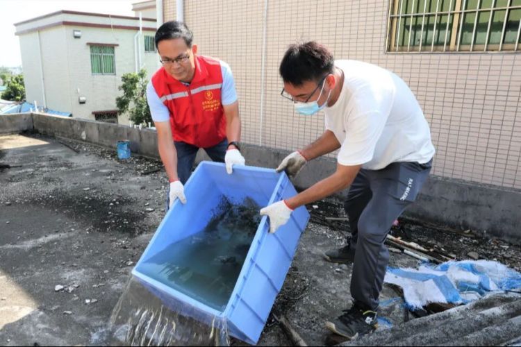 中山小榄镇全域持续深入推进爱国卫生运动