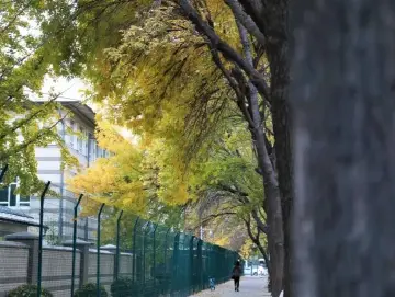 近期，南北方天气差异为何这么大