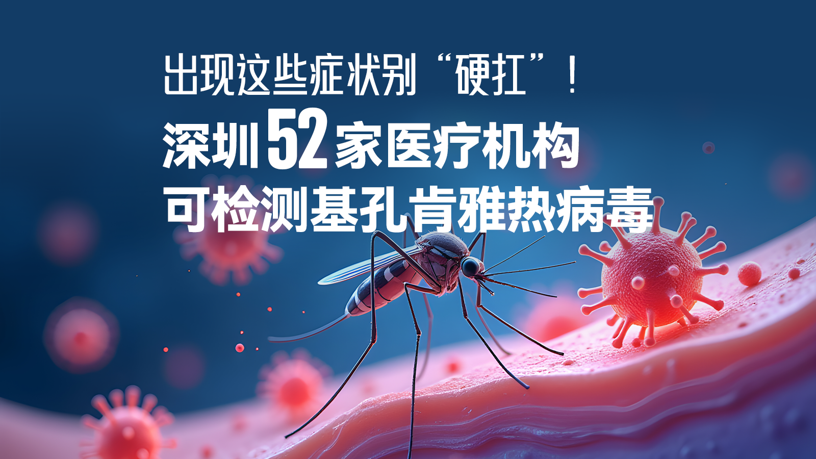 出现这些症状别“硬扛”！深圳52家医疗机构可检测基孔肯雅热病毒