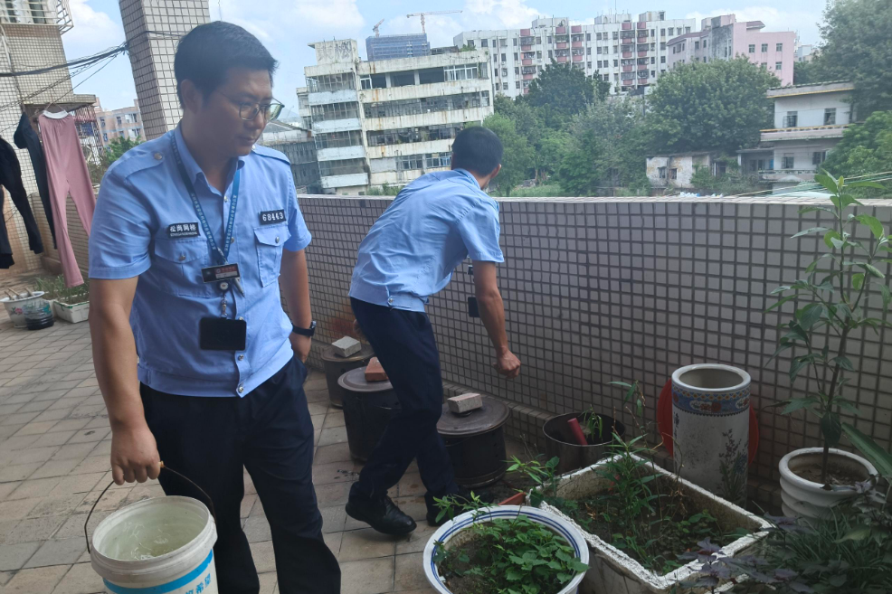 依托“网格塔式宣传”!宝安松岗防蚊灭蚊知识家喻户晓,共筑清洁家园立体网