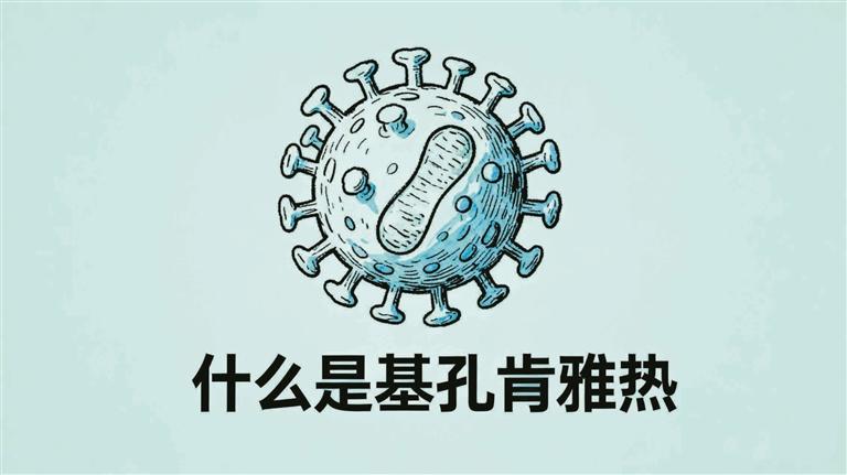 拒绝“咬”出来的关节痛 一文读懂基孔肯雅热