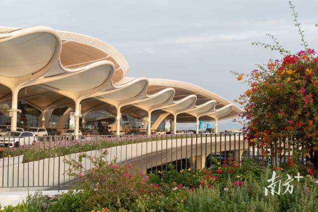 无  南方+ 石磊 拍摄