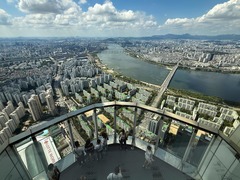 韩国首尔老鼠增多　气候变化或为主因