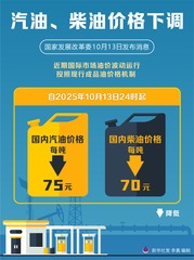 （图表）汽油、柴油价格下调