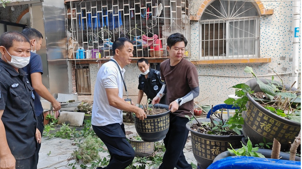 筑牢防控屏障!新安大浪社区开展蚊媒应急消杀培训