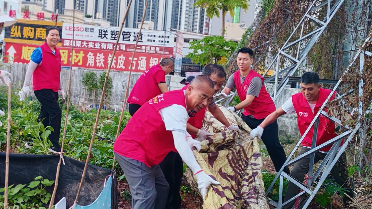 平湖禾花禾睦蔬院 多元联动助力十五运会
