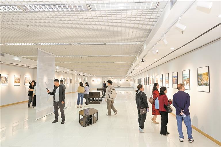 第三届中国野生动物摄影大展精品巡展在观澜美术馆启幕