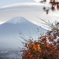 政策收紧　日本富士山登山受困人数锐减